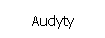 audyty